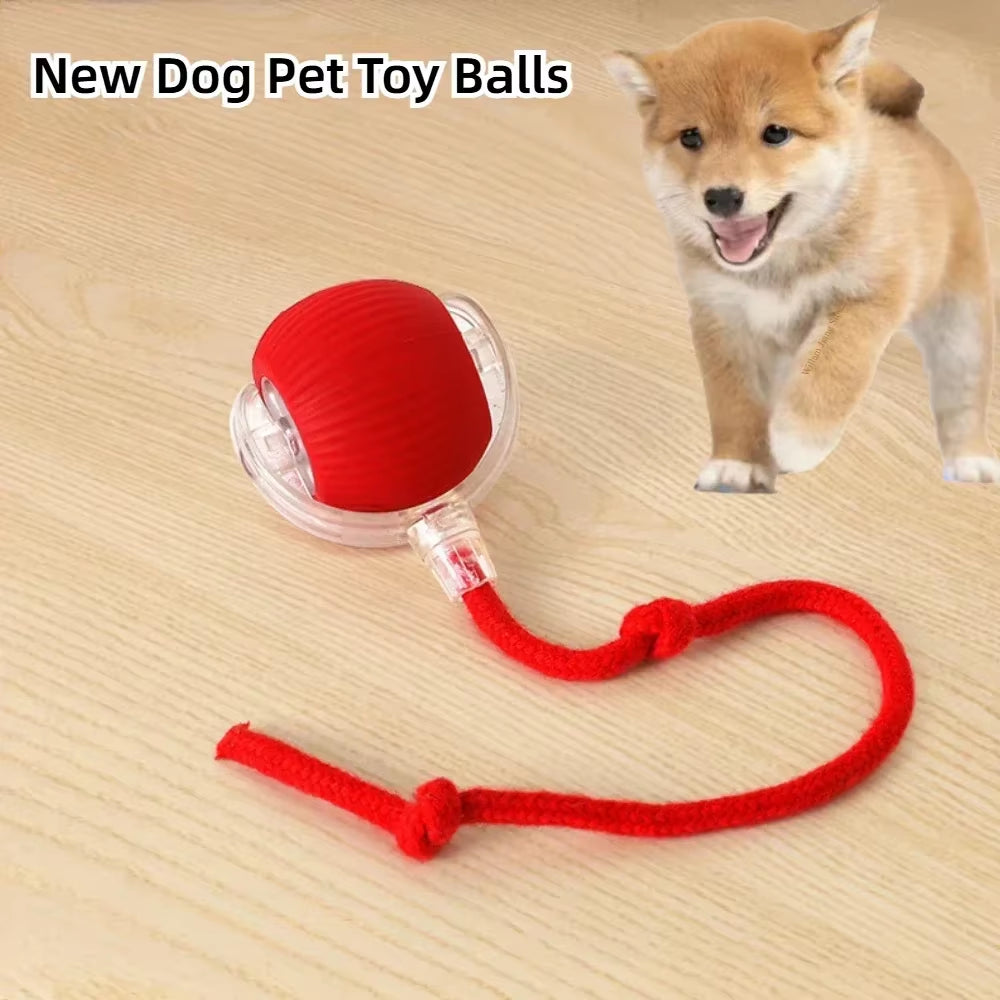 Pet Playtime Pal: Electric Fun